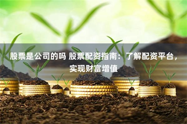 股票是公司的吗 股票配资指南：了解配资平台，实现财富增值
