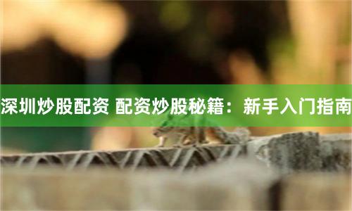 深圳炒股配资 配资炒股秘籍：新手入门指南