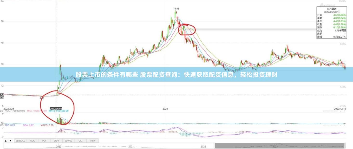 股票上市的条件有哪些 股票配资查询：快速获取配资信息，轻松投资理财
