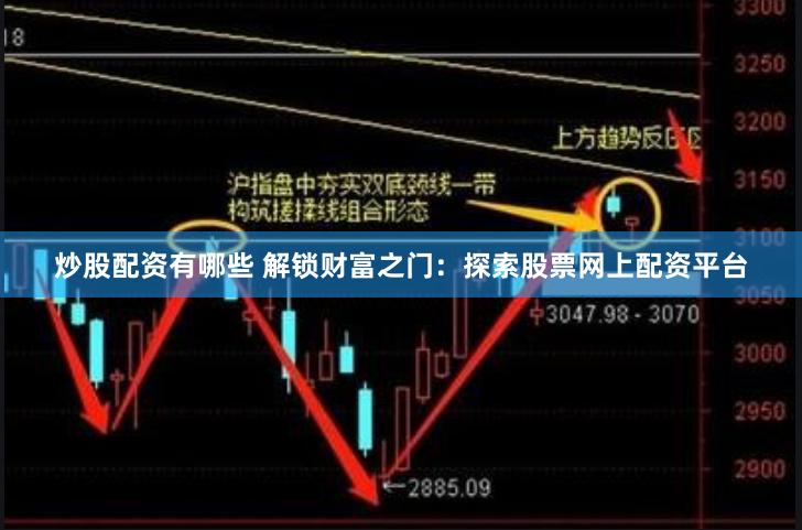 炒股配资有哪些 解锁财富之门：探索股票网上配资平台