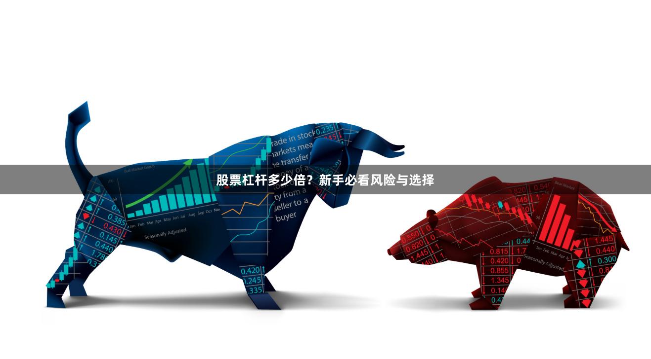 股票杠杆多少倍？新手必看风险与选择